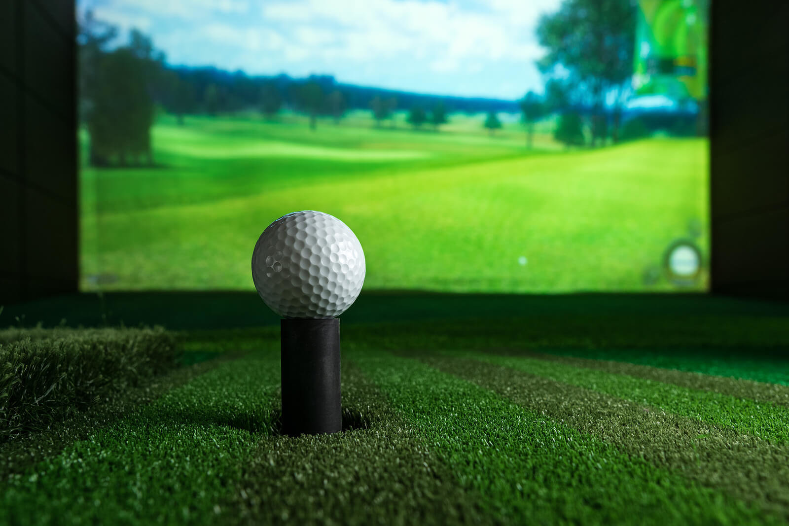 Tampa Condo Buildings With Golf Simulator