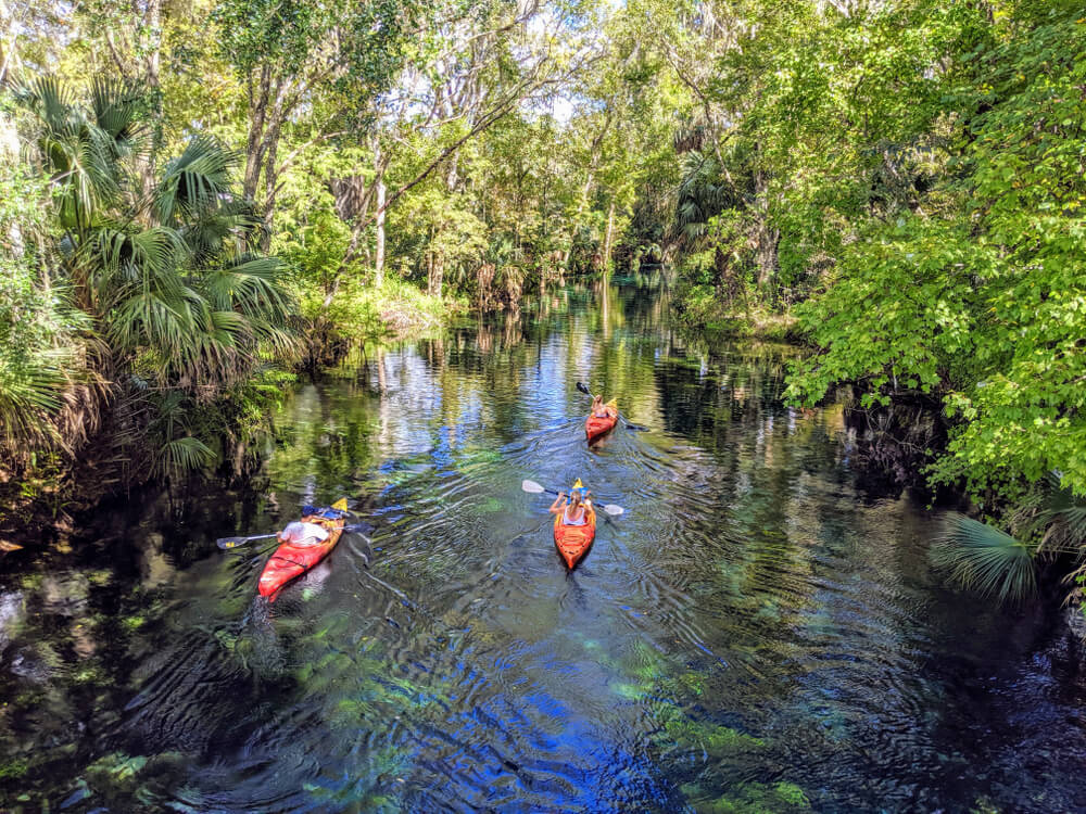 Kayaking in Central Florida 