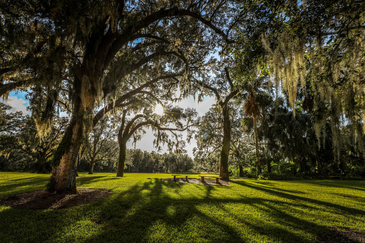 South Tampa Best Parks and Playgrounds 