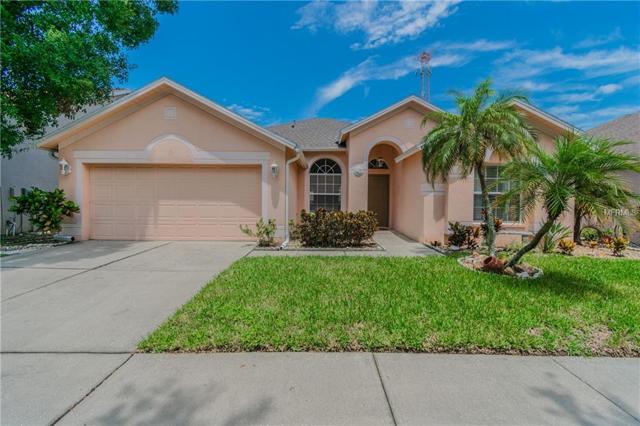 8824 Cypress Hammock Dr, Tampa